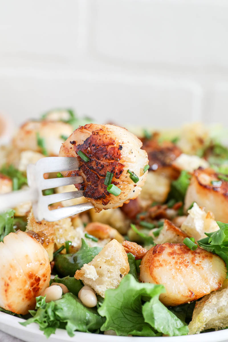 Scallop Salad with Bacon Vinaigrette Scallops Jenny Shea Rawn
