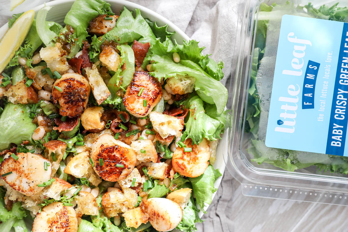 Scallop Salad with Bacon Vinaigrette Scallops Jenny Shea Rawn