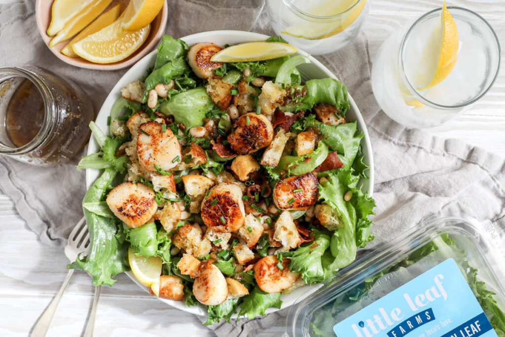Scallop Salad with Bacon Vinaigrette Scallops Jenny Shea Rawn
