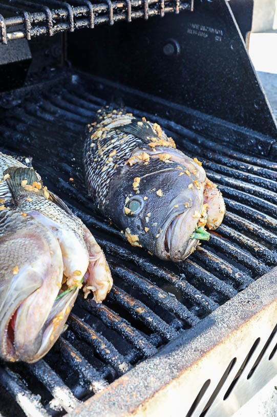 An image of a whole black sea bass on the grill. 