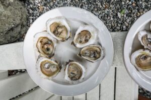 An overhead images of freshly shucked raw oysters.