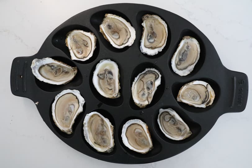 An overhead image of freshly shucked oysters. 